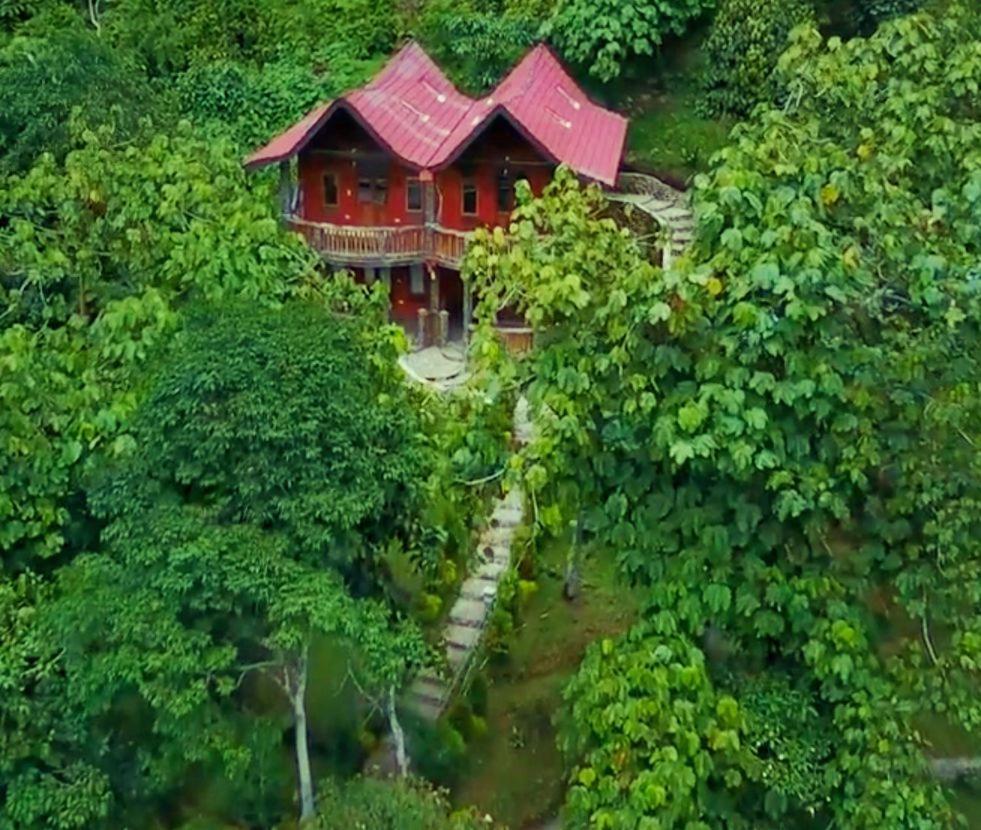 Hotel Orangutan Bukit Lawang Exterior foto